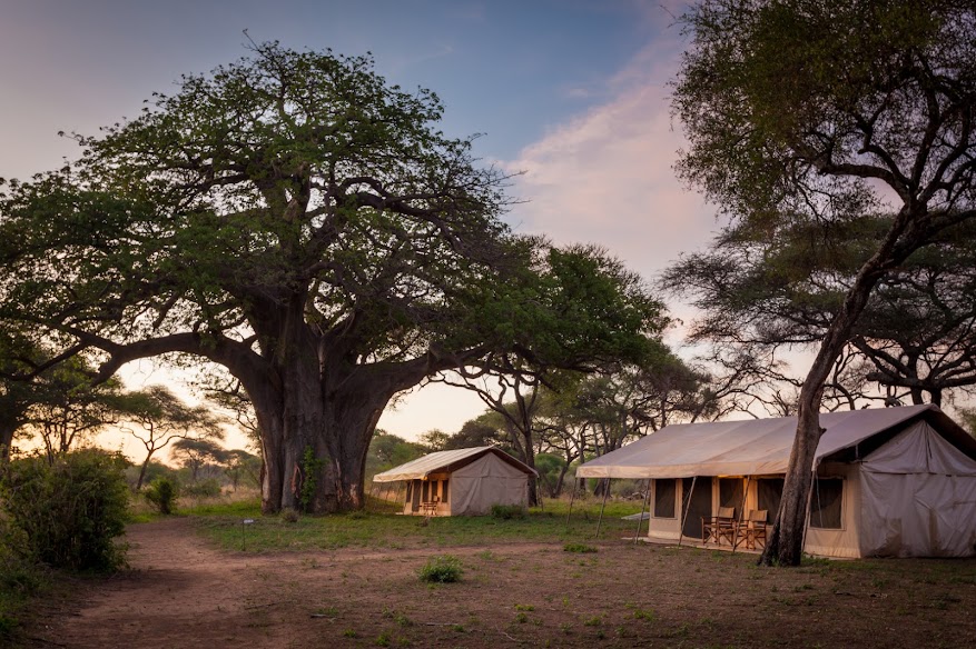 Baobab Tented Camp