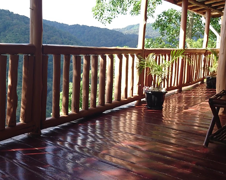 Rushaga Gorilla Haven's Lodge