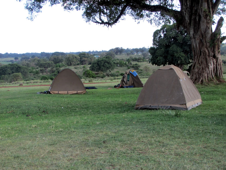 Ngorongoro Simba Campsite