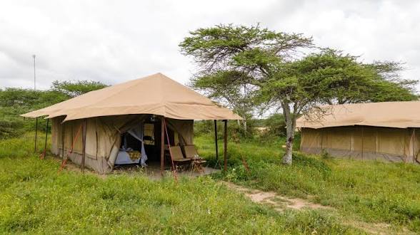 Kenzan Tented Camp Migration Camp