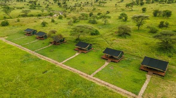 Kenzan Tented Camp Migration Camp