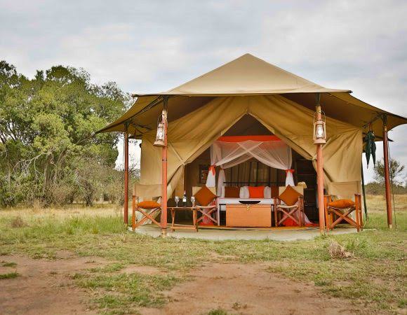 Kenzan Tented Camp Migration Camp