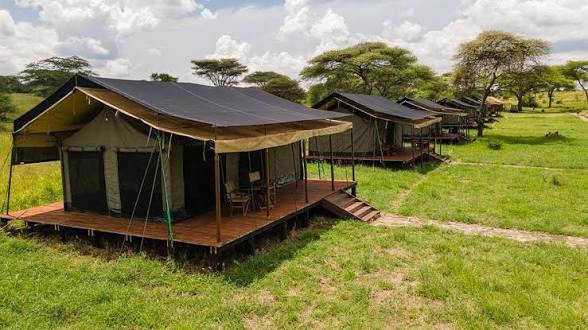 Kenzan Tented Camp Migration Camp