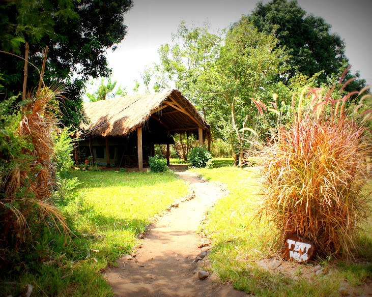 Udzungwa Forest Lodge - Hondo Hondo