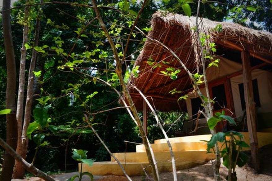 Udzungwa Forest Lodge - Hondo Hondo
