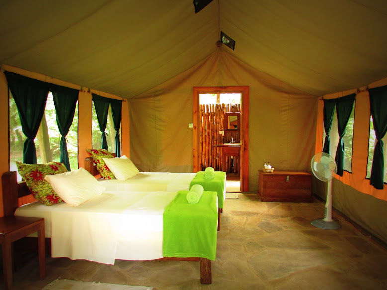 Udzungwa Forest Lodge - Hondo Hondo