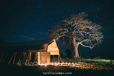 Tarangire Tortilis Camp