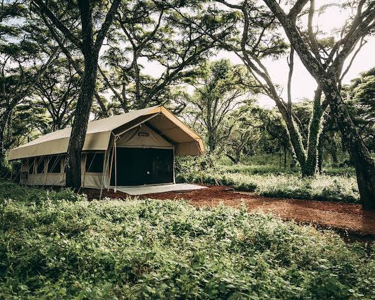 Ngorongoro Tortilis Camp