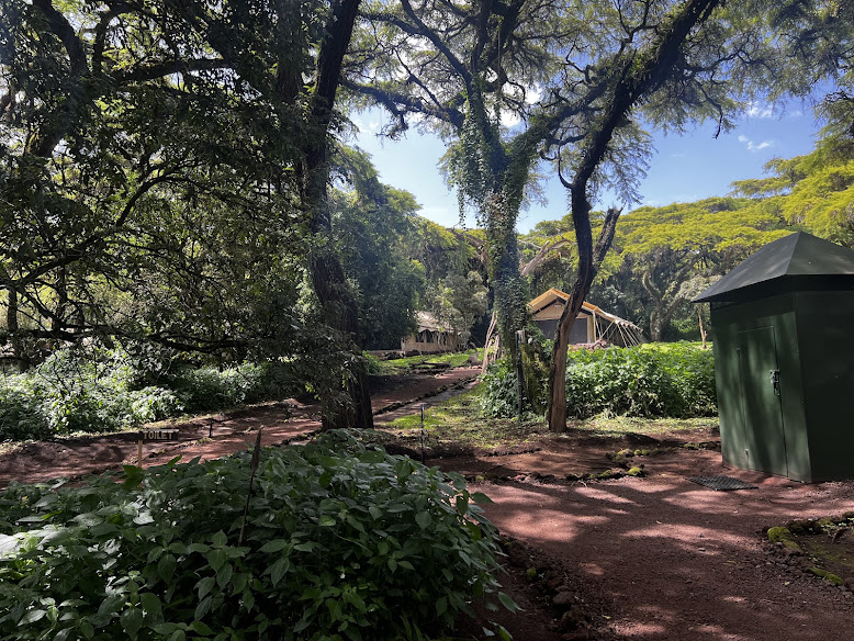 Ngorongoro Tortilis Camp