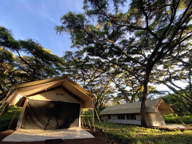 Ngorongoro Tortilis Camp