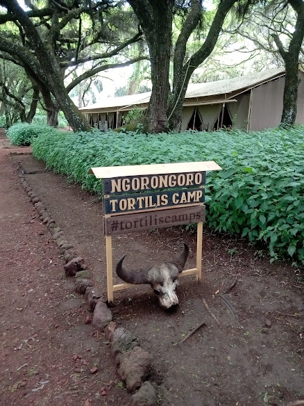 Ngorongoro Tortilis Camp