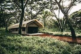 Serengeti Tortilis Camp