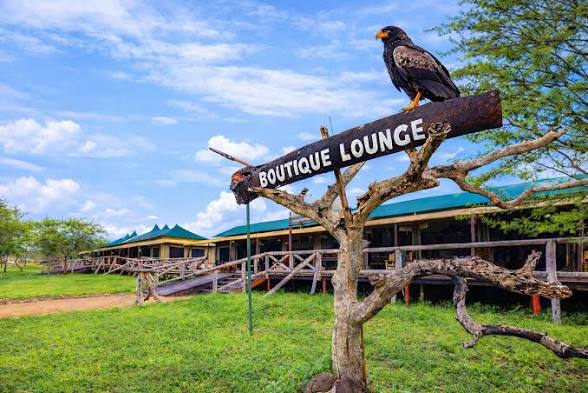 Tanzania Bush Camp Mara River
