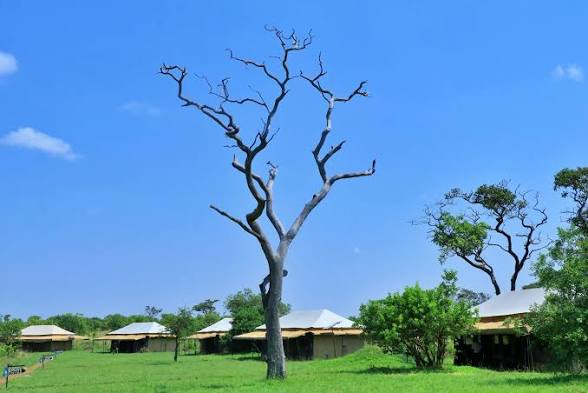 Tanzania Bush Camp Mara River
