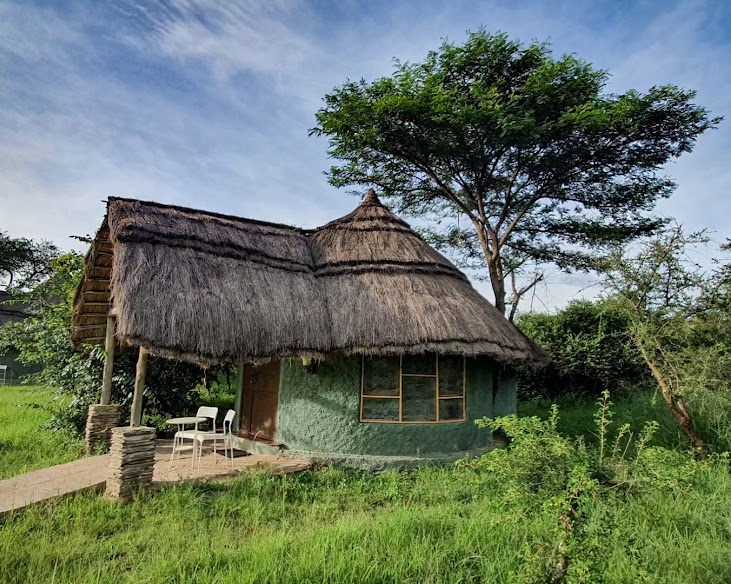 Ikoma Wild Camp