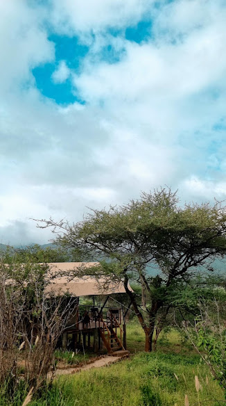 Mkomazi Wilderness Retreat