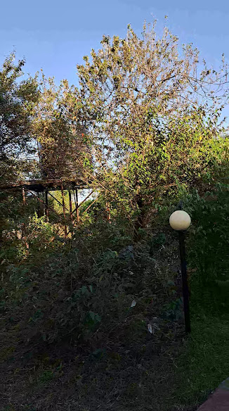Miti Mingi Eco Camp