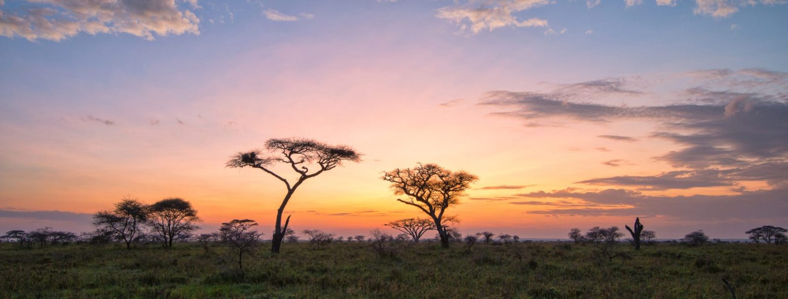 Out-In Africa Serengeti Camps