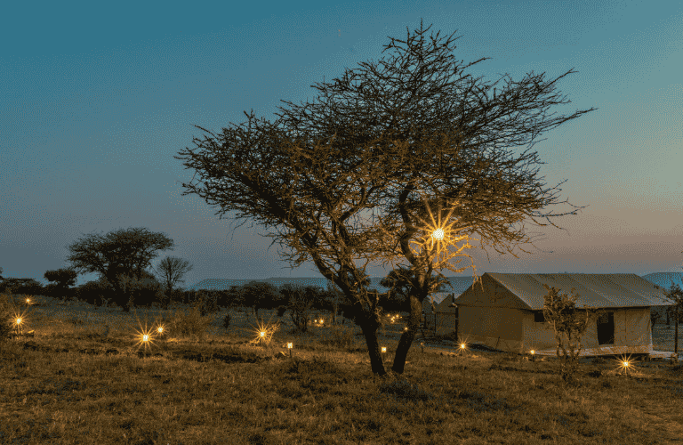 Out-In Africa Serengeti Camps