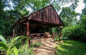 Kibale Forest Camp