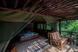 Kibale Forest Camp