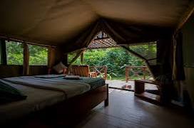 Kibale Forest Camp