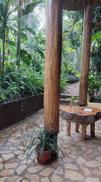 Kibale Forest Camp