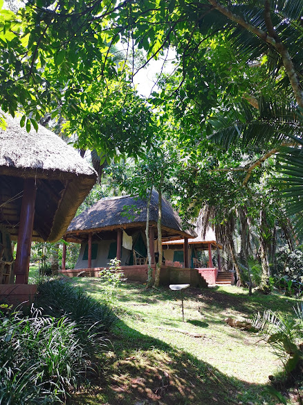 Kibale Forest Camp