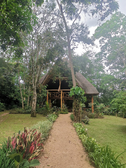 Kibale Forest Camp