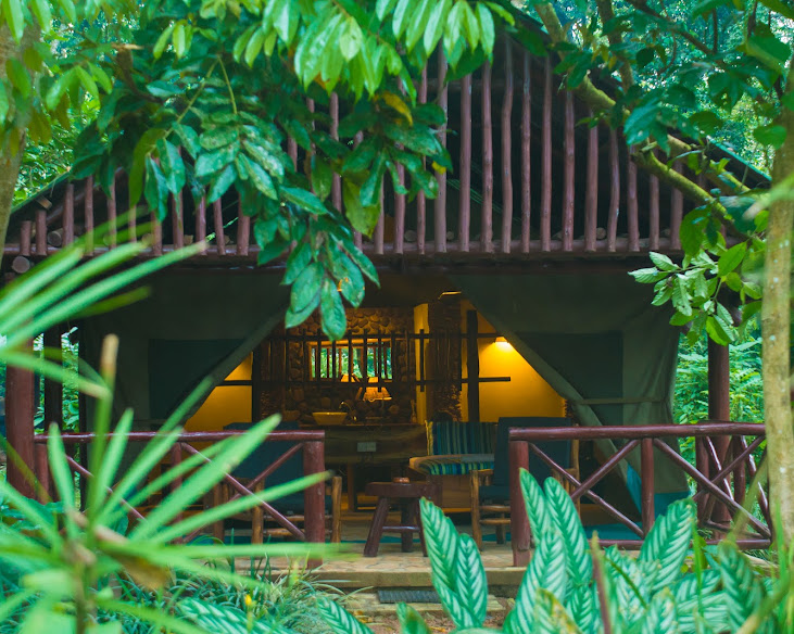Kibale Forest Camp