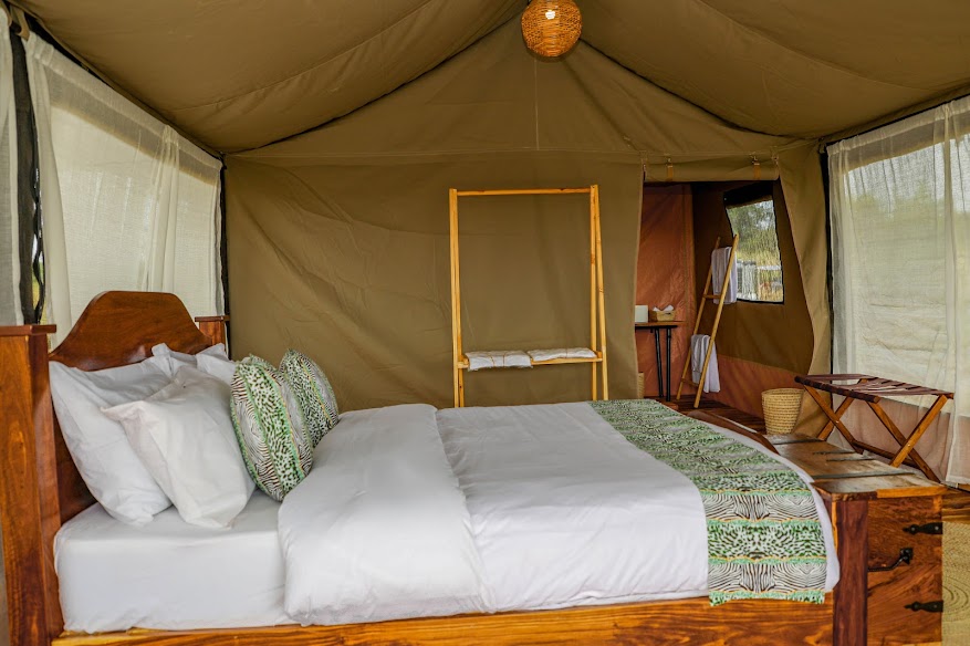 Untamed Migration Camp