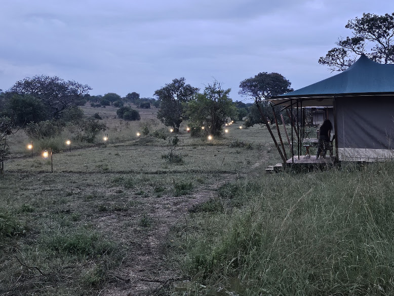 Untamed Migration Camp