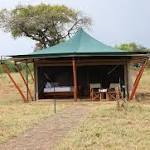 Untamed Migration Camp
