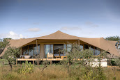Untamed Migration Camp
