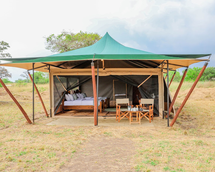 Untamed Migration Camp