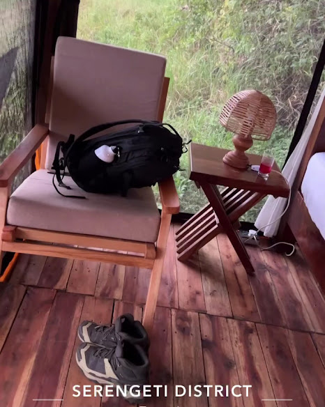 Untamed Migration Camp