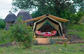 Kidepo Savannah Lodge (Safari Tent)