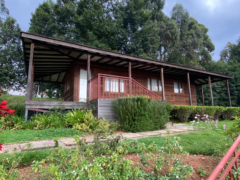 Arcadia Lodge Lake Bunyonyi