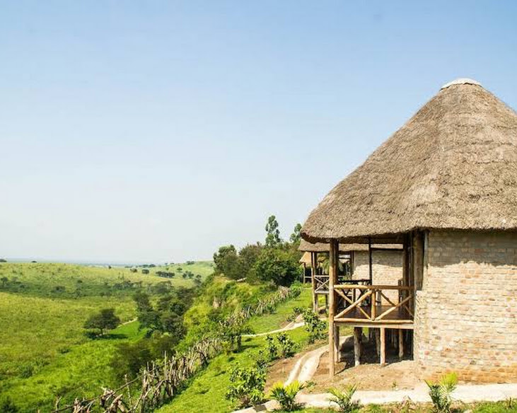Elephant Hab Lodge