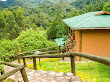 Ichumbi Gorilla Lodge