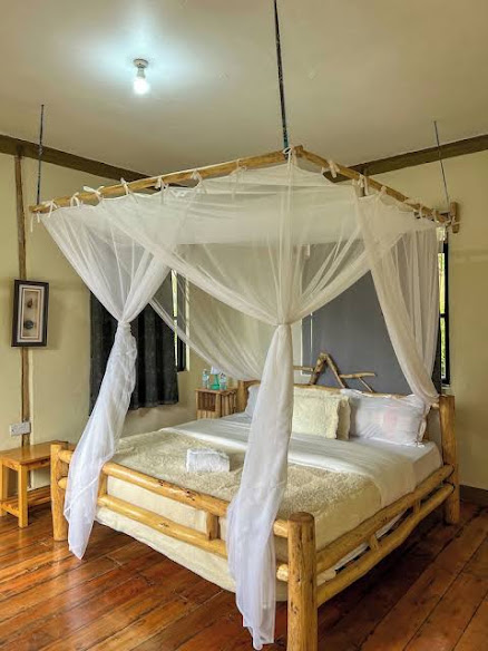 Gorilla Bluff Lodge