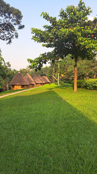 Kibale Guest Cottages