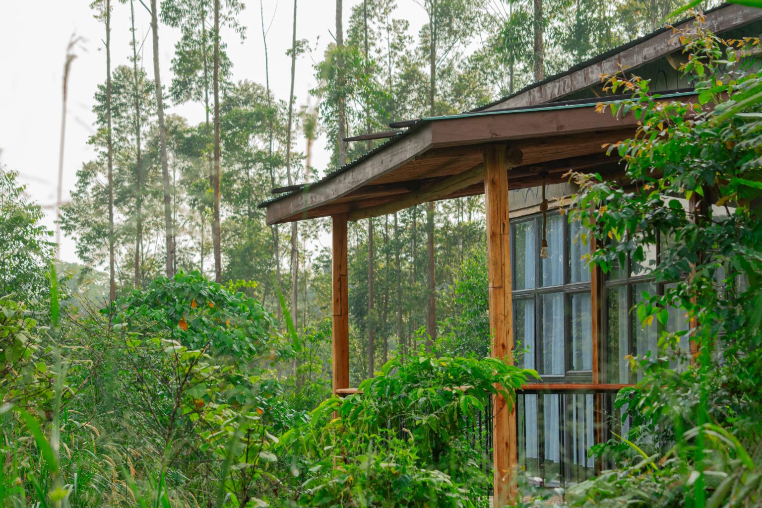 Bweza Kibale Lodge