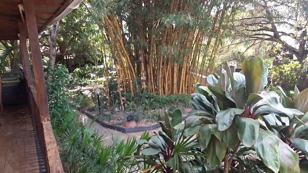 Papyrus Guest House
