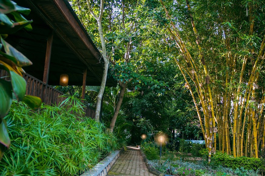 Papyrus Guest House