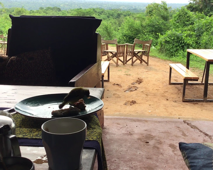 Red Chill Rest Camp