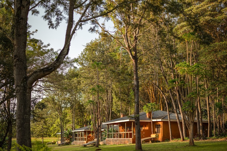 Ngorongoro Farm House