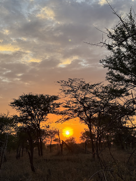 Nyani Campsite