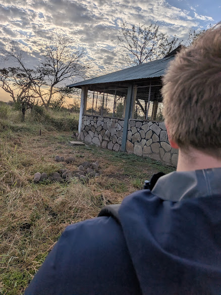Nyani Campsite