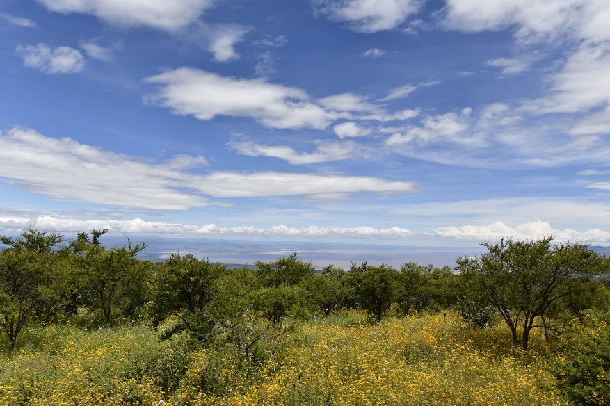 Ngorongoro Wild Camp